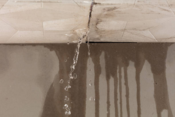 Professional Burst Pipe Cleanup technician working in Wolf Creek, UT